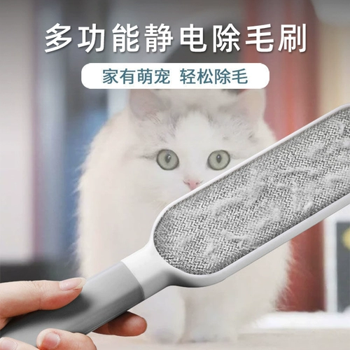 Ковер, диван, электрический свитер, кошки и собаки, домашний питомец