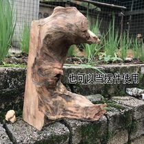 Camphor wood logs soil-sinked old roots camphor wood blocks wardrobe insect-proof and moth-proof beads car odor removal