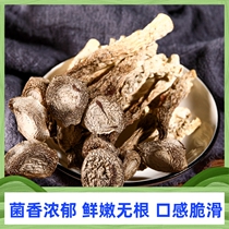 Fujian Gutian Special Production Antler Mushrooms Antler Fungus Dry Goods of Edible Mushrooms Fresh Dry Antler Mushrooms 250g