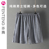 Fenton Mens Summer Pure Cotton Five-Mint Shorts Bottom Shorts Shorts Shorts