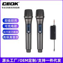 Customized popular rechargeable wireless microphone one-to-two household karaoke outdoor audio karaoke stage ktv