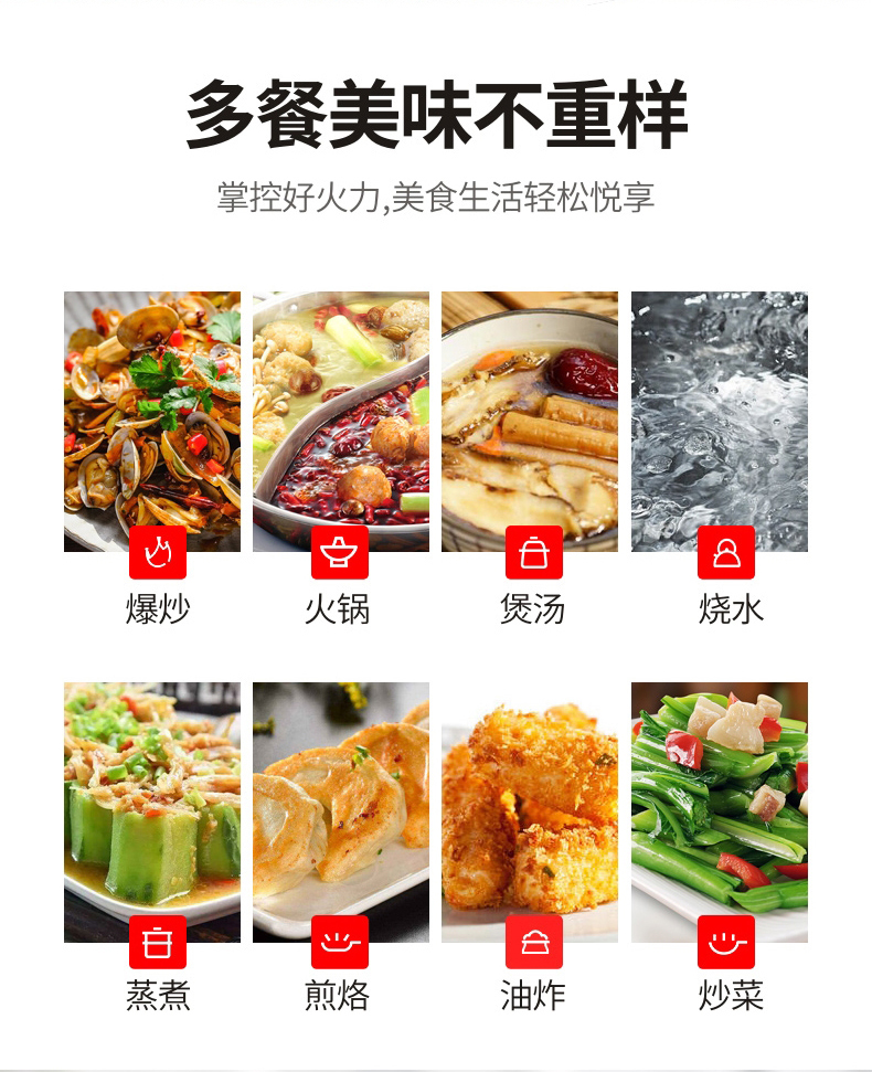 志高  多功能电磁炉2100W 图4