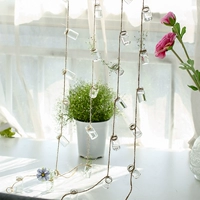 5 струн маленьких бутылок (серия из 9 бутылок бутылочного рта 4 см 2 см) не содержит растений