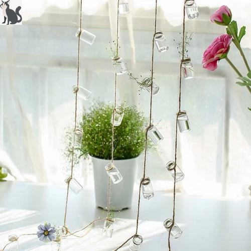 , Зеленое растение гидропонное растение стеклянное подвеска
