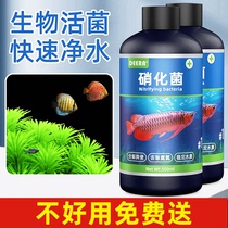 Nitrobacter fish tanks are purified with water purifiers nitrobacter water quality stabilizers water quality digestion chlorine removal and fish farming supplies