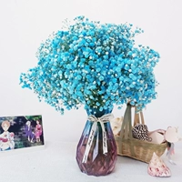 Синие звезды + алмазная бутылка