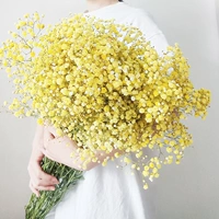 Желтая звезда, полная звезд - очень большая куча - 2 котла