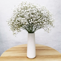 Белый полный звездный луч (без бутылки)