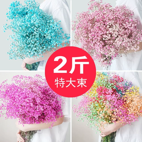 Полный Tianshan Dry Flower Букет настоящие цветы цветочные цветочные украшения украшения маленький свежий воздух сухой ваза