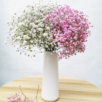 Розовый+белый полный звездный луч (без бутылки)