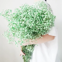 Зеленое звездное небо - очень большая куча - 2 кот