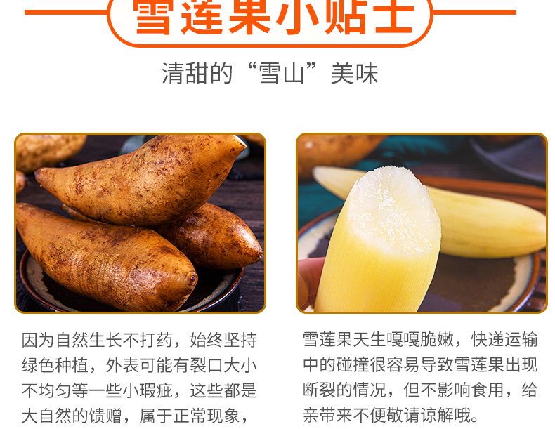 云南天山雪莲果 10斤 新鲜现挖 图15