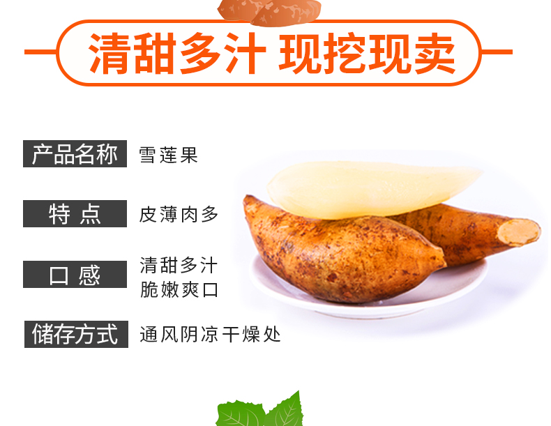 云南天山雪莲果 10斤 新鲜现挖 图3