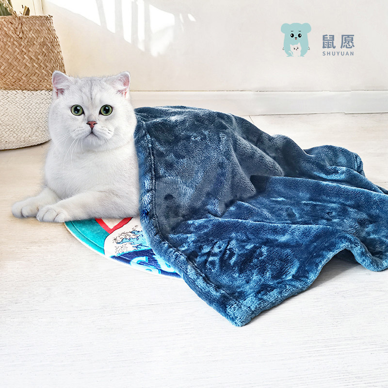Rat wishes winter warm dog mat cat litter four seasons universal sleeping mat cat mat sleeping with pet wool blanket cat