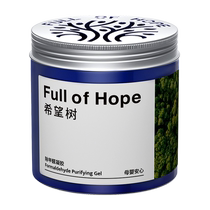 Hope Tree Smart Formaldehyde Net Magic Box 200G * 4 boîtes