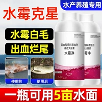 5 бутылок [получено 6 бутылок]