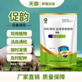 Beast -love Sow Sow Ebodate Love к содействию овуляции и способствует беременным зверям, чтобы привлечь к нему скот и овцы, чтобы способствовать здравоохранению SoW Sow