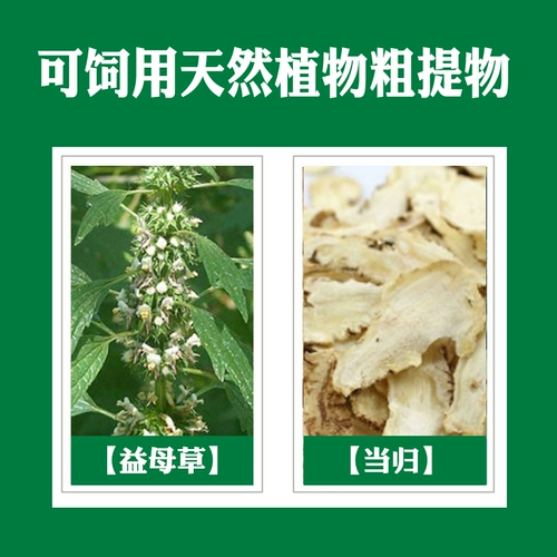 Beast -love Sow Sow Ebodate Love к содействию овуляции и способствует беременным зверям, чтобы привлечь к нему скот и овцы, чтобы способствовать здравоохранению SoW Sow