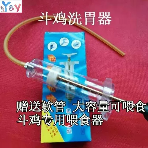 Божественный битва, божественная битва с курицей желудок, пьет курицу, пьющий куриный борьба с курицей борьба с масином