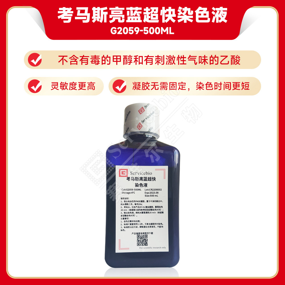SDS-PAGE 考马斯亮蓝快速染液 蛋白胶染色液 无需脱色 5min显色