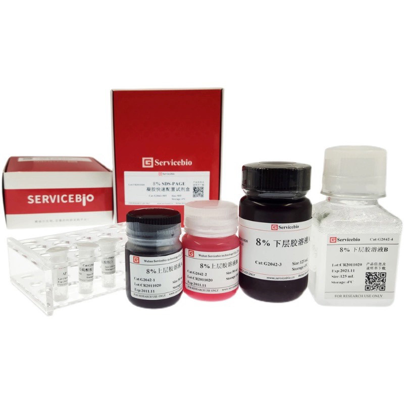 6% 8% 10% 12% 15% SDS-PAGE彩色（红色）凝胶超快速配制试剂盒