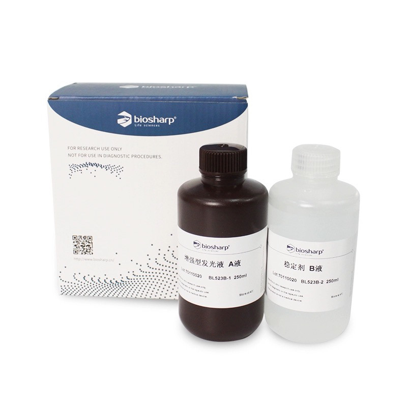biosharpBL520B特超敏/BL523B超敏ECL化学发光底物 500ml