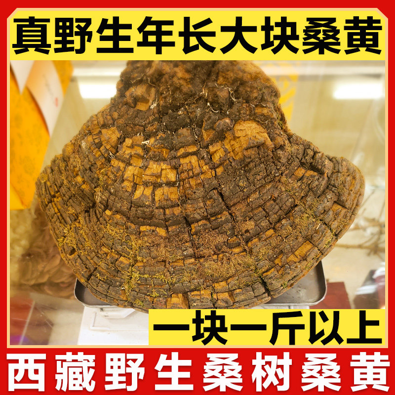 (30 years of life)Tibet wild mulberry mulberry yellow Linzhi Ganoderma lucidum Tibet Autonomous Region specialty 500g