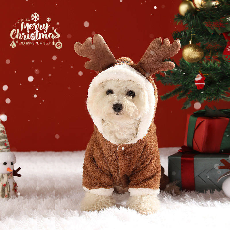 Net Red Dog Clothes Autumn Winter Plus Suede Thickening Warm Cat Teddy Bou Mekki Small Dog Puppies Quadrillion