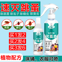 Flea spray to eliminate jumping pet cats and dogs lice sewer insecticide aerosol bug bug bug bug