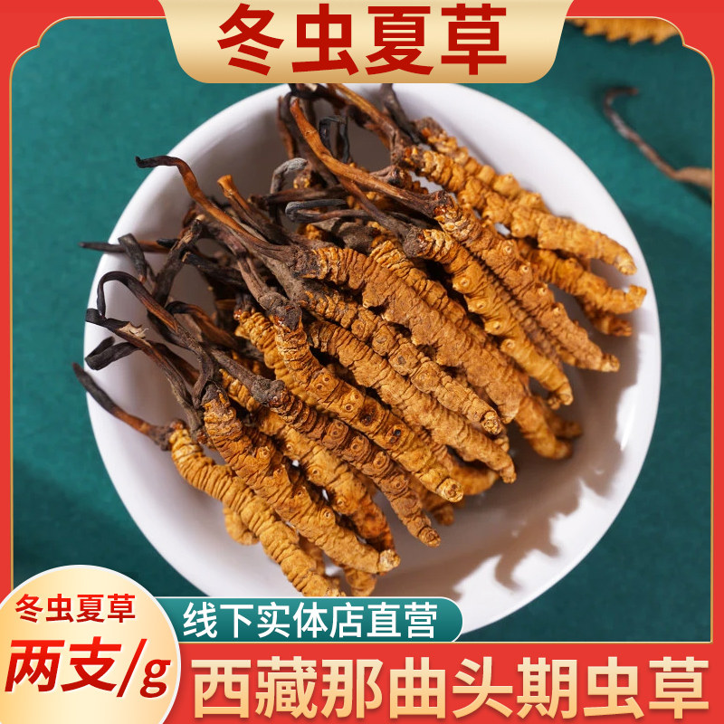 Fresh Cordyceps sinensis two g broken grass root soup tea Tibet Nagqu head stage fresh Cordyceps nourishing health