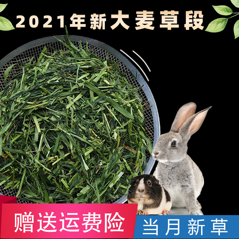 2021 New Barley Grass Section 500g Rabbit Totoro Guinea Pig Dutch Pig Hamster Hay Feed Grain