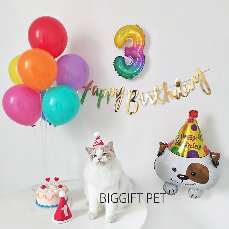 Birthday Hat Dog Birthday Party Plant Catty Pet Themed Balloon Balloon Wall Decoration
