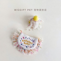 Korean Dog Party Surrounded Pet Birthday Tissue Towels Bear Lovely Dress around Neck Cat Dog Pink Hat