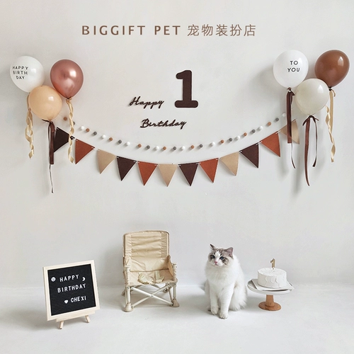 Вечернее платье, воздушный шар, нагрудник, кот, домашний питомец, наряжаться