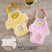 Pooch Physio Pants Female Dog Aunt towel Stool Defecation Routine Fake Great Aunt Menstrual Teddy Menstrual Pants Substitutable