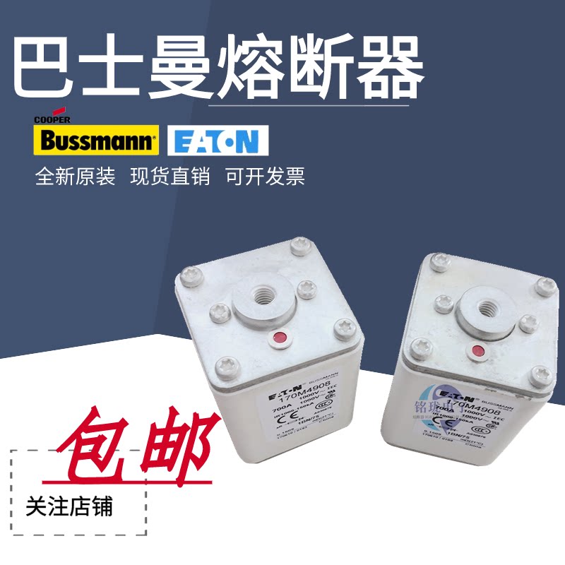 Bussmann Basman 170M4969 170M4970 170M4971 170M4972 fuse spot