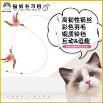 Teasing Cat Stick Long Wire Tease Cat With Cat Toy Feather Bell Pan Teasing Cat Toy Pet Kitty Toy Supplies