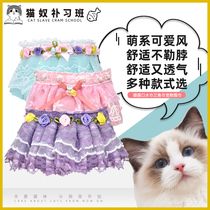 Cat Cat Saliva scarf Triangle Towel Pet Scarf Around the mouth kitty Neck Ornaments Teddy Princess Lace Cute Trinket