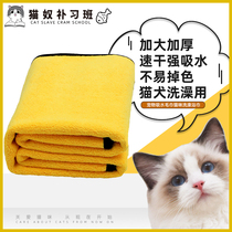 Pet Absorbent Towel Dog Teddy Gold Wool Kitty Bath bath towels Speed Dry Big coral towel Pet special