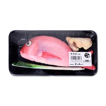 Eat Fish Hotpot Bar Japan KOJIMA Toys Emulation Salmon Snapper Catfish Cat Mint Toy