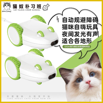 GiGwi is expensive for crazy mice kittens electric vocal cat toy tennis red pet toy kitten since hi