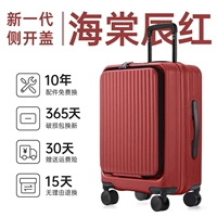 [Бегония Чен Красный] На рынке появился новый цвет!Отправлено SF Express