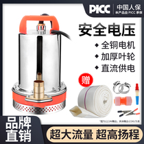 DC submersible pump 12V household pump 24V48V60V volt battery car Small electric vehicle agricultural pump