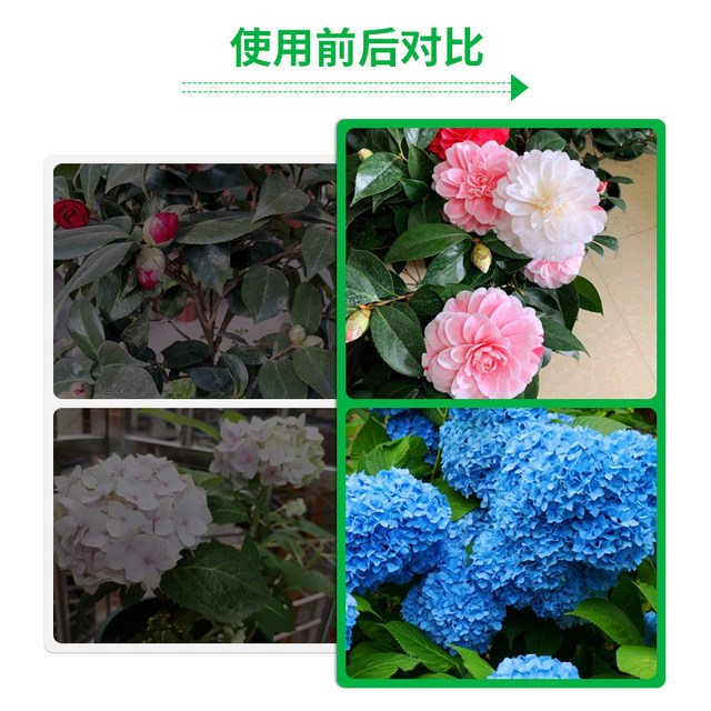 Zhimeishi ວິທີແກ້ໄຂທາດອາຫານພືດທີ່ເປັນກົດສໍາລັບ camellia potted ເຮືອນ, gardenia, jasmine, hydrangea, ປະເພດພິເສດສໍາລັບພືດຮັກອາຊິດ