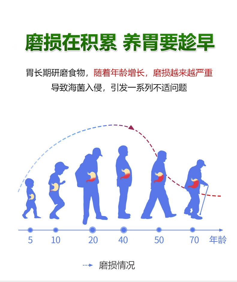 斐尔特美国原装进口猴头菇复合片