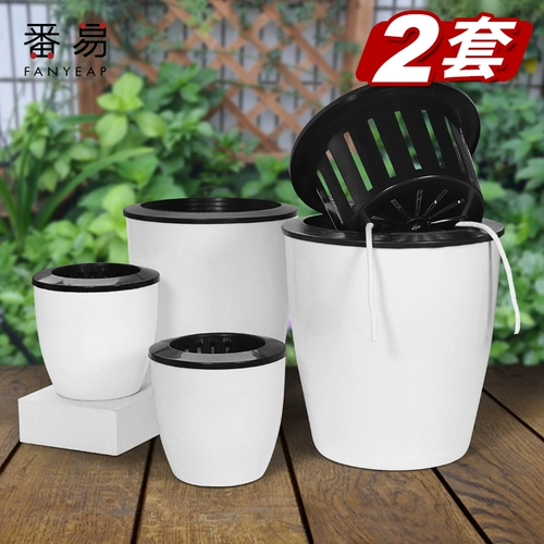 Золотая монета обмен автоматический водопоглощение цветочный горшок с ленивым цветочной тарелкой пластиковая гидропонная креативная цветочная растение зеленое укроп.