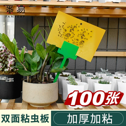 Обмен золотыми монетами Двойная анти -снесенная тарелка Желтая доска, погруженная в червячные фруктовые мухи, и теплица с соблазнительной желтой доски цветочной ловцы сада