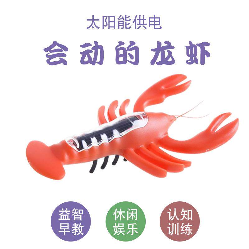 Солнечные игрушки 太阳能蜘蛛昆虫蟑螂蚂蚱小跑车玩具新奇特科技创意实验思维定制 German/only banquet