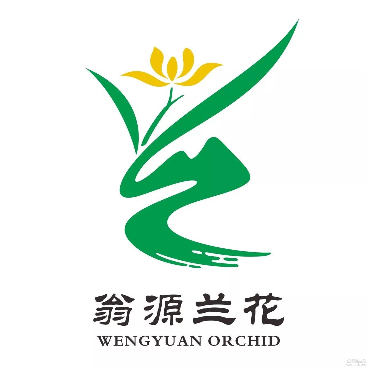 滃源兰花基地