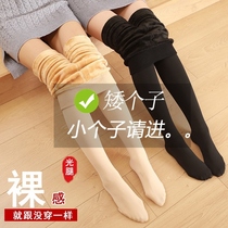 The new 2021 burst leggar artifact spring and autumn thin velvet panty socks with velvet and bottom pants single layer